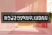 서산금강산보석사우나내마사지