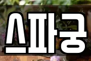 스파궁