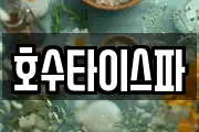 호수타이스파