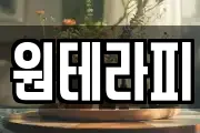 원테라피