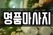 충남 서산시 지곡면 마사지, 지압등 업체정보