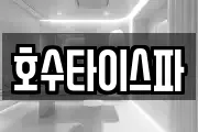 호수타이스파