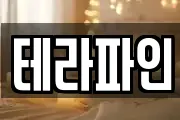 테라파인