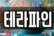 테라파인