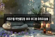 스파라엘 천안불당점 바이 바디튠 마사지살롱