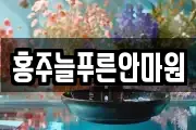 홍주늘푸른안마원