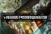 누수탐지아파트주택천장화장실보험처리전문