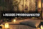 누수탐지아파트주택천장화장실보험처리전문