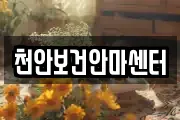 천안보건안마센터