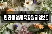 천안생활체육공원지압보드