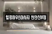 충남 천안시 동남구 신부동 마사지, 지압등 업체정보