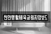 천안생활체육공원지압보드