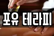 포유 테라피