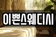 이쁜스웨디시