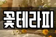 꽃테라피