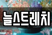 늘스트레치