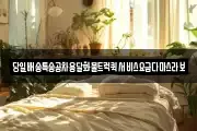 당일배송특송공차용달화물트럭퀵서비스요금다마스라보