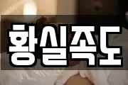 황실족도