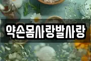 약손몸사랑발사랑