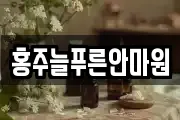 홍주늘푸른안마원