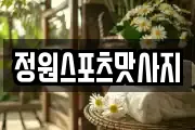 충북 괴산군 문광면 마사지, 지압등 업체정보