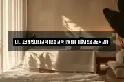 미니포크레인미니굴삭기소형굴착기철거폐기물덤프조경토목공사