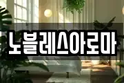노블레스아로마