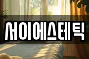 서이에스테틱