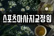 스포츠마사지교정원