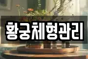 황궁체형관리