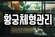 황궁체형관리
