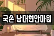 국손 남대현안마원