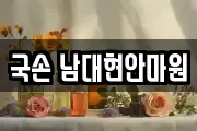 국손 남대현안마원