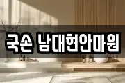 국손 남대현안마원