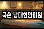 국손 남대현안마원