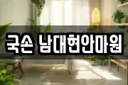 국손 남대현안마원