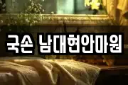 국손 남대현안마원