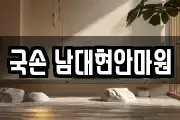 국손 남대현안마원