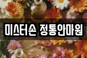 미스터손 정통안마원