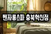 벤자롱스파 충북혁신점