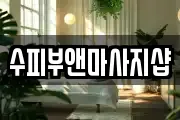 수피부앤마사지샵