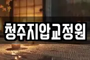 청주지압교정원