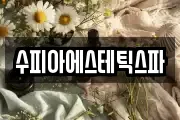 수피아에스테틱스파