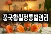 중국황실정통발관리