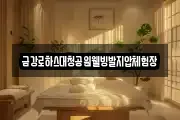 충북 청주시 상당구 문의면 마사지, 지압등 업체정보