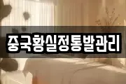 중국황실정통발관리