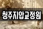 청주지압교정원