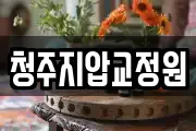 청주지압교정원