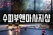 수피부앤마사지샵