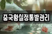 중국황실정통발관리